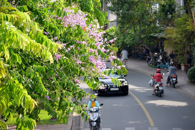 Thư Sài Gòn (số 30): Nhà văn Sài Gòn làm gì trong 100 ngày giãn cách vừa qua - Ảnh 2.