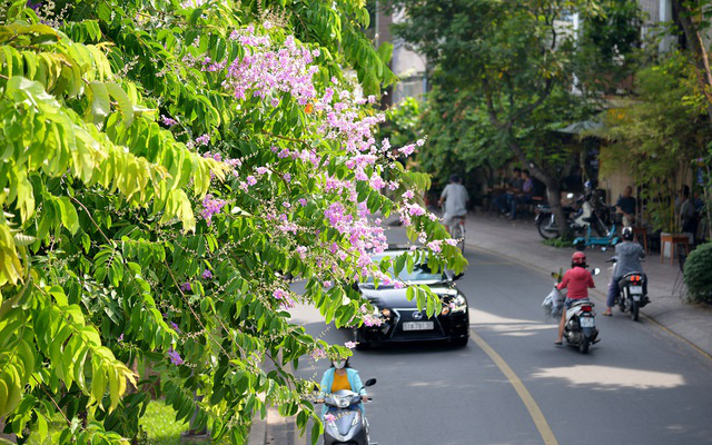 Thư Sài Gòn (số 30): Sài Gòn, những trang viết không ngủ yên