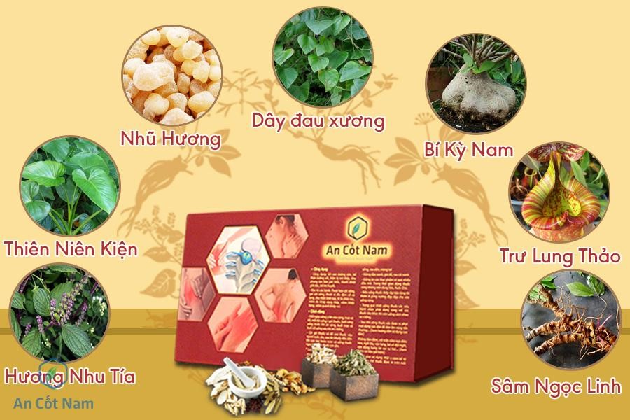 Cách chữa thoát vị đĩa đệm tại nhà bằng bài thuốc Nam dân gian - Ảnh 1.