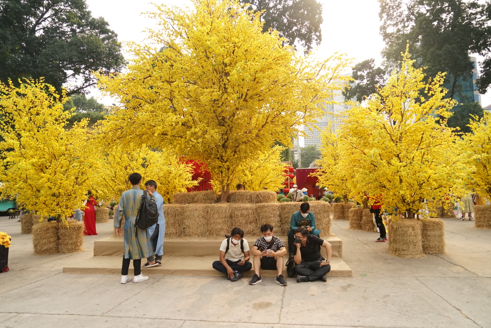 Người dân Sài Gòn nô nức &quot;check-in&quot;, chụp ảnh áo dài ở vườn mai vàng, Phố ông đồ - Ảnh 20.