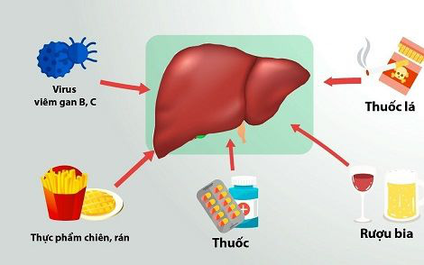 Bí quyết giải độc gan trước kỳ nghỉ lễ