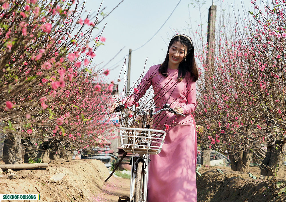 Cô gái Hà thành xúng xính áo dài “đọ sắc” bên vườn đào Nhật Tân - Ảnh 11.