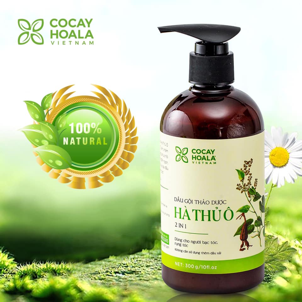 Có nên nhuộm tóc bạc? Bí quyết đẩy lùi tình trạng tóc bạc sớm an toàn - Ảnh 2.