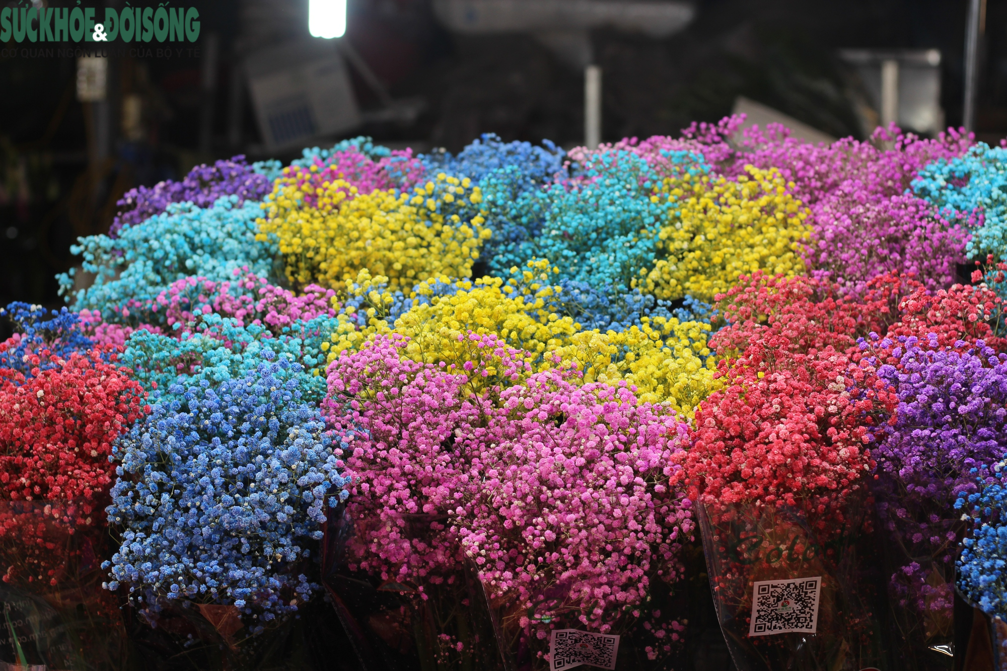 Giới trẻ thích thú 'du hí' tại chợ hoa tươi lớn nhất Hà Nội - Ảnh 2.