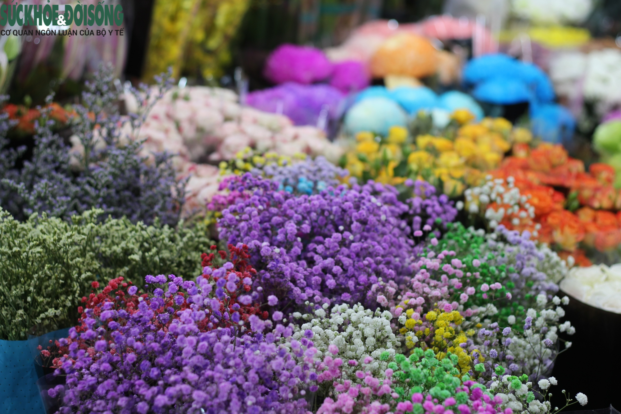 Giới trẻ thích thú 'du hí' tại chợ hoa tươi lớn nhất Hà Nội - Ảnh 6.
