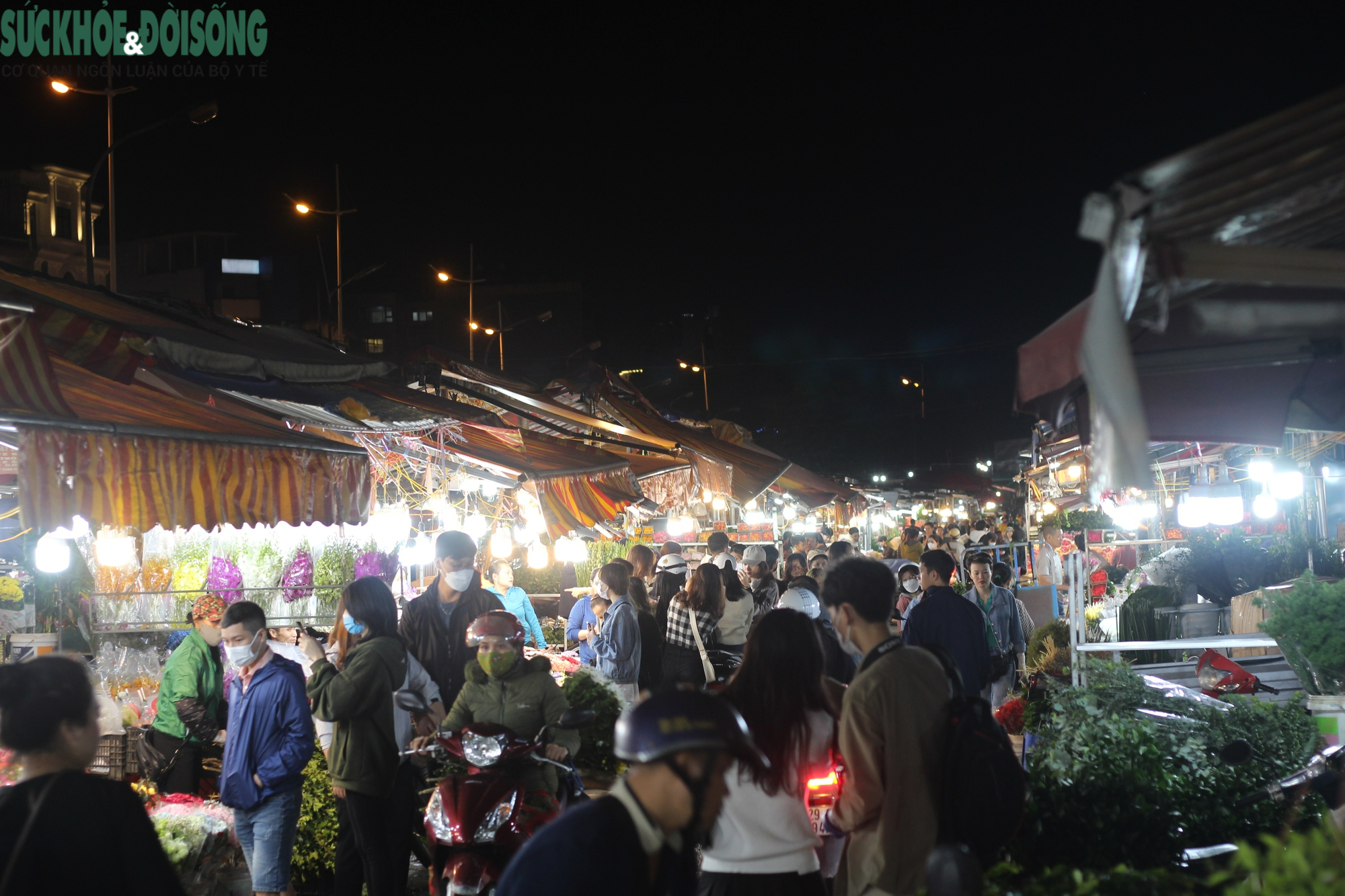 Giới trẻ thích thú 'du hí' tại chợ hoa tươi lớn nhất Hà Nội - Ảnh 1.