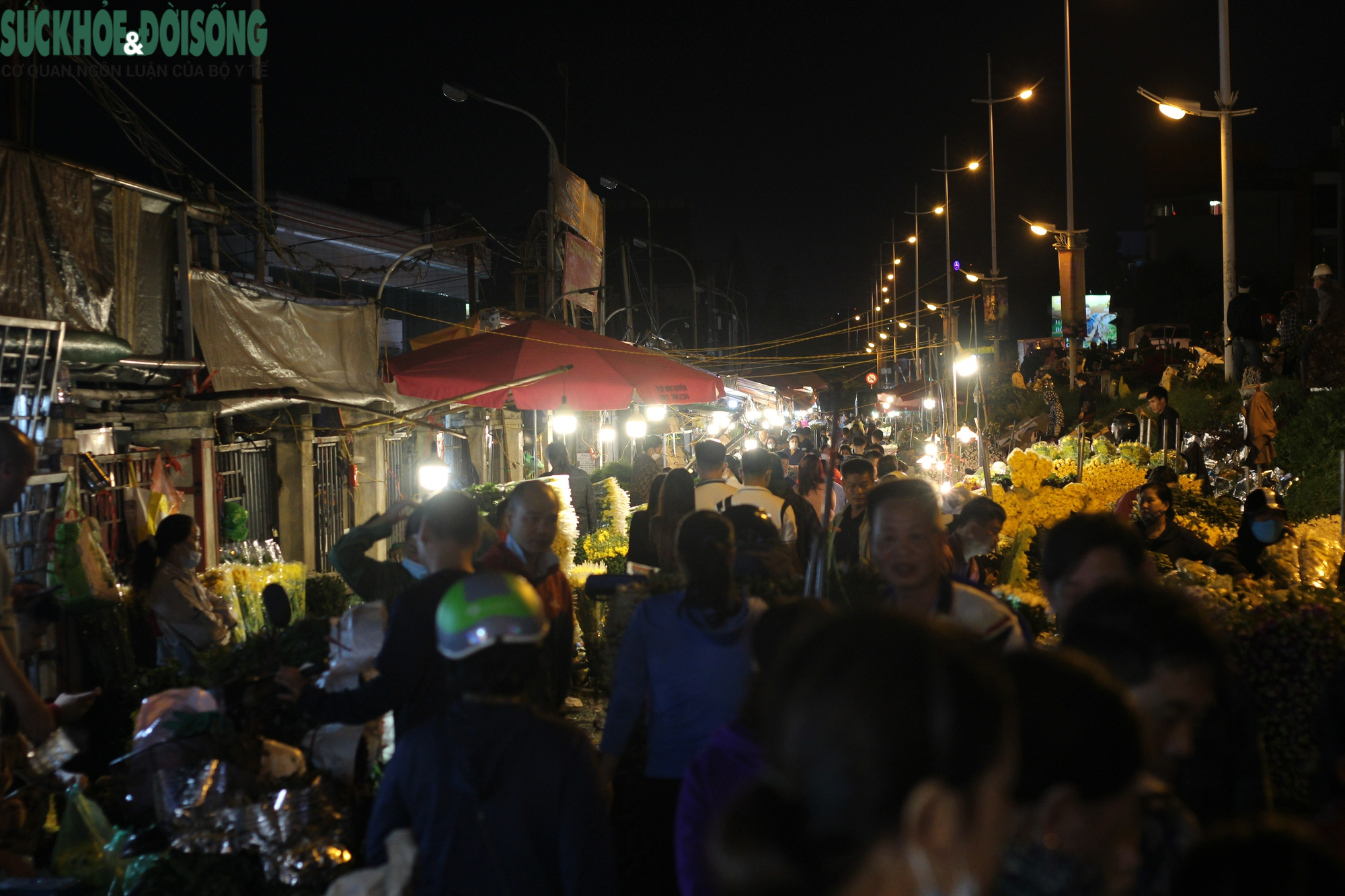 Giới trẻ thích thú 'du hí' tại chợ hoa tươi lớn nhất Hà Nội - Ảnh 4.