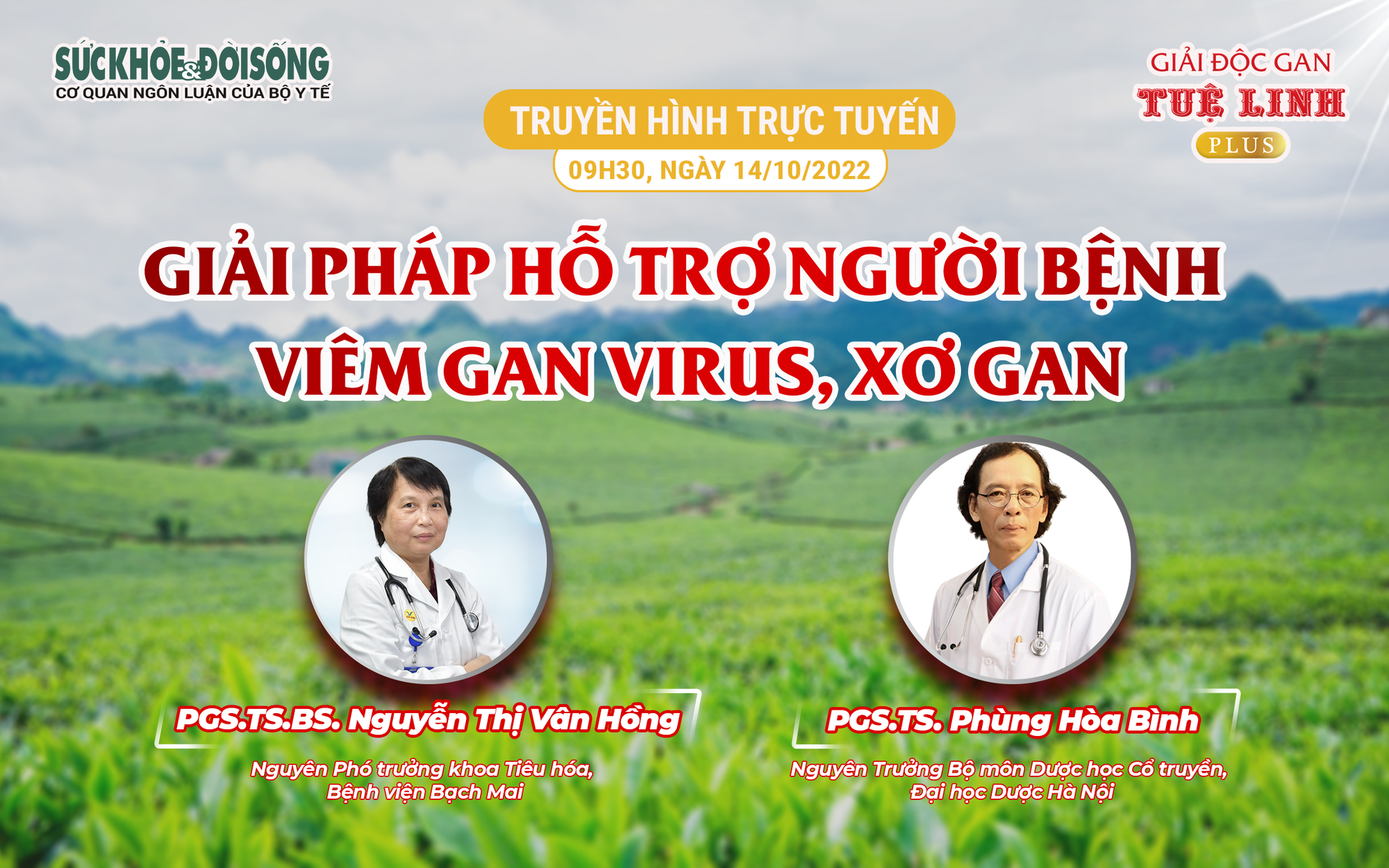 Thu hẹp khoảng trống trong phát hiện và điều trị viêm gan virus - Ảnh 2.