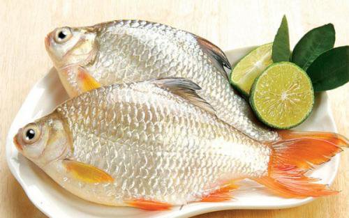 3 món ăn từ cá cho người bị gan nhiễm mỡ