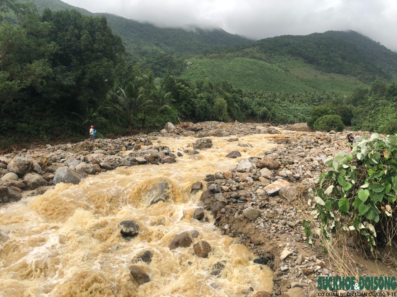 Bán đảo Sơn Trà bị sạt lở nặng sau mưa lũ, nhiều tuyến đường bị nứt toác - Ảnh 11.