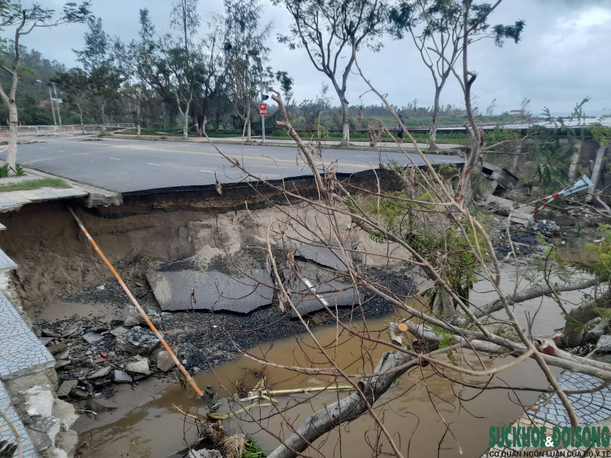 Bán đảo Sơn Trà bị sạt lở nặng sau mưa lũ, nhiều tuyến đường bị nứt toác - Ảnh 3.