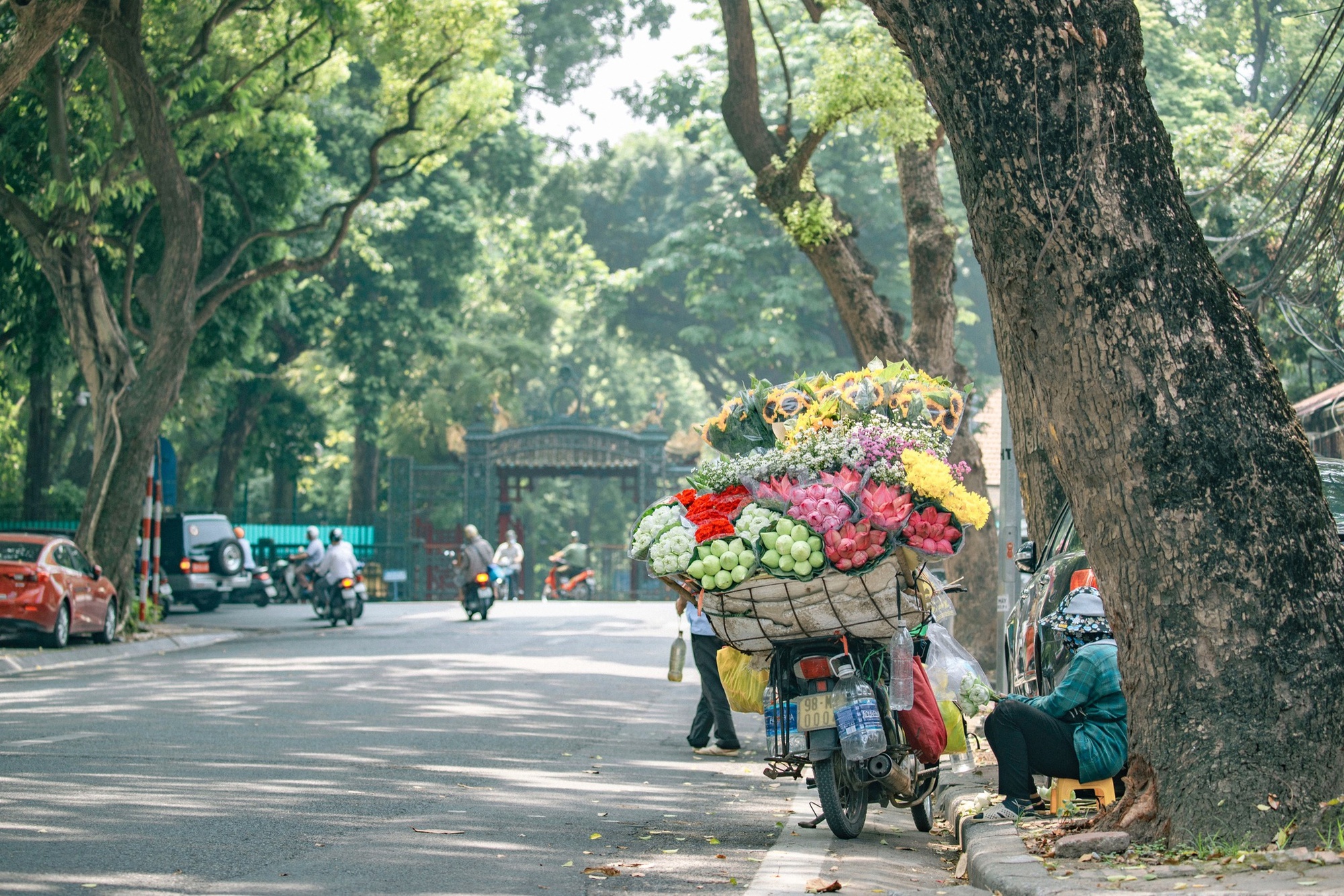 Báo Anh xếp Việt Nam là điểm đến hàng đầu để đón năm mới - Ảnh 2.