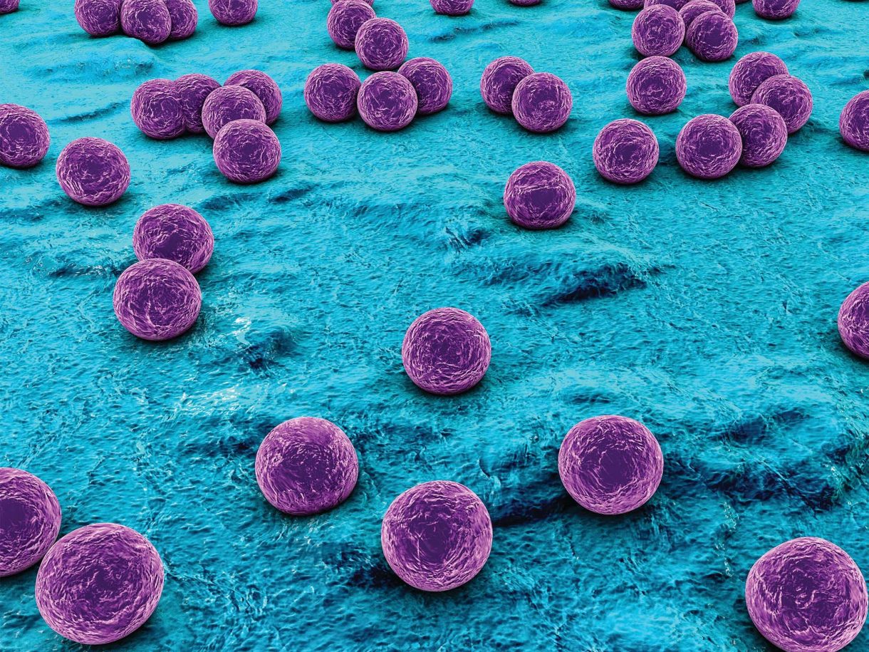 Kháng sinh mới có khả năng chống lại vi khuẩn kháng thuốc gram dương - Ảnh 3.