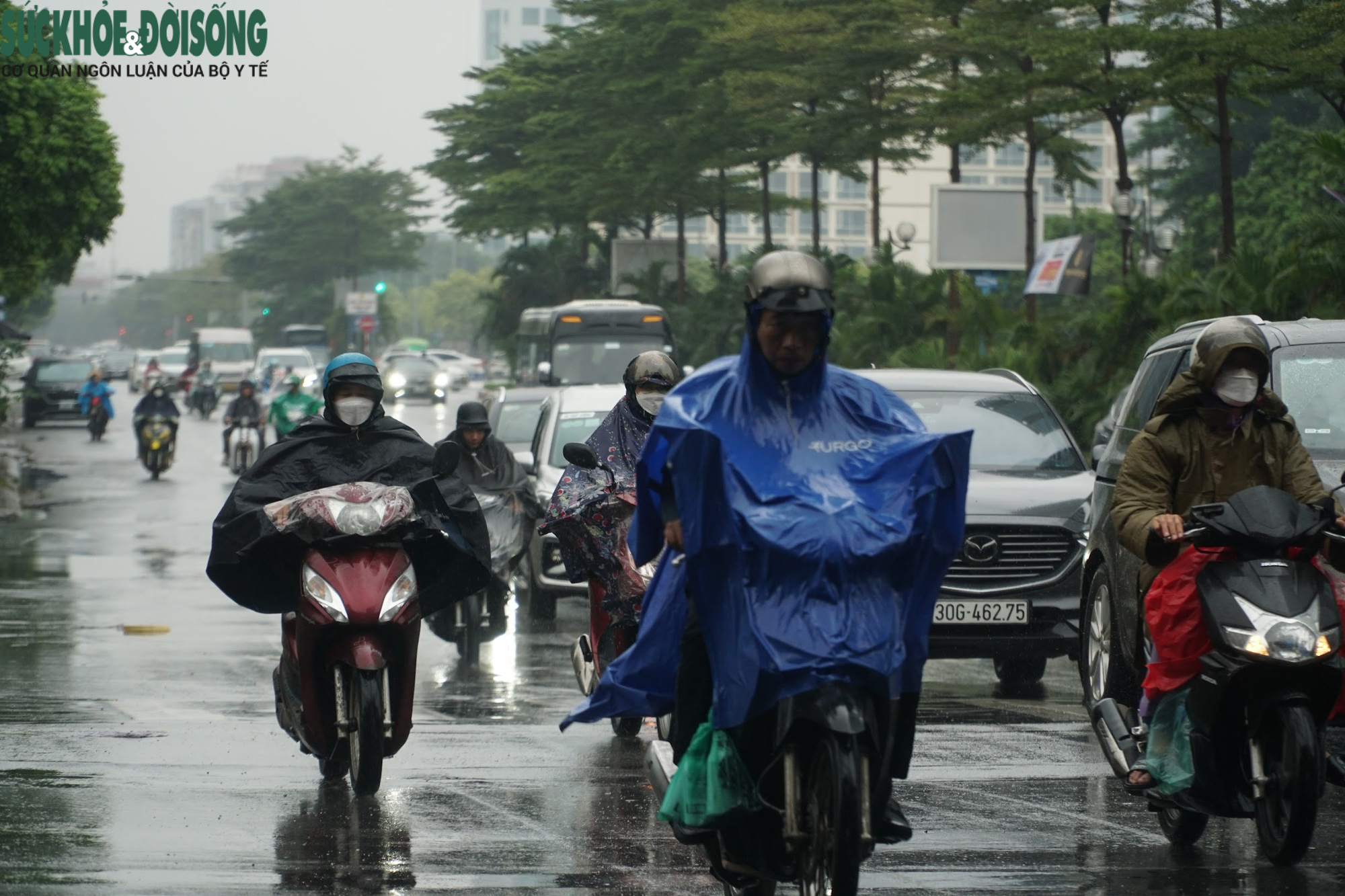 Người Hà Nội co ro trong mưa rét đầu Đông 16 độ C - Ảnh 2.