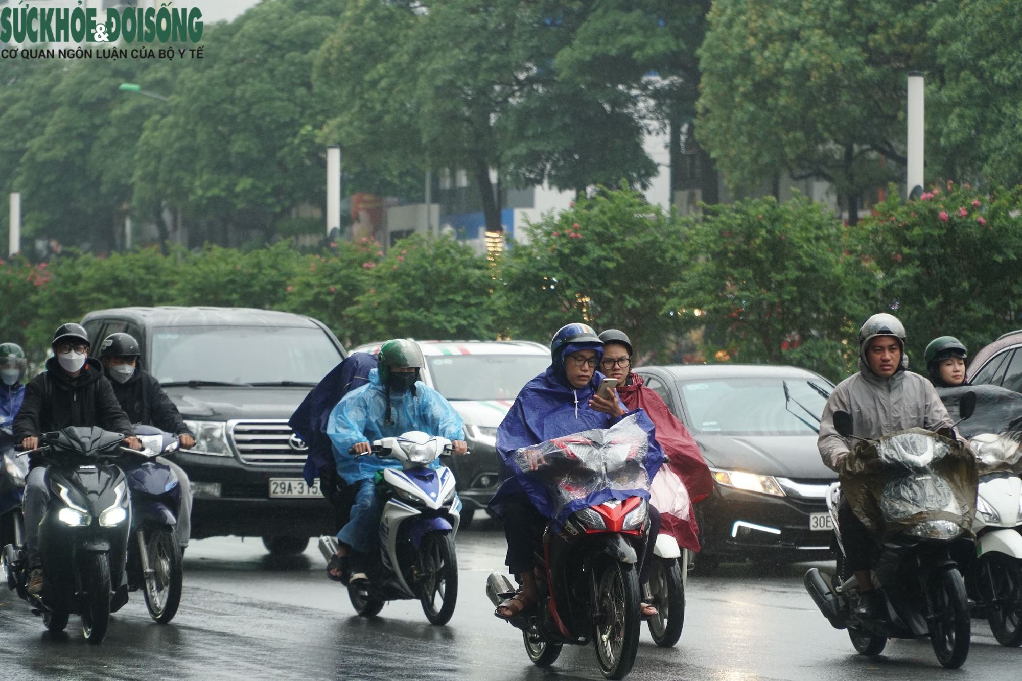 Người Hà Nội co ro trong mưa rét đầu Đông 16 độ C - Ảnh 3.