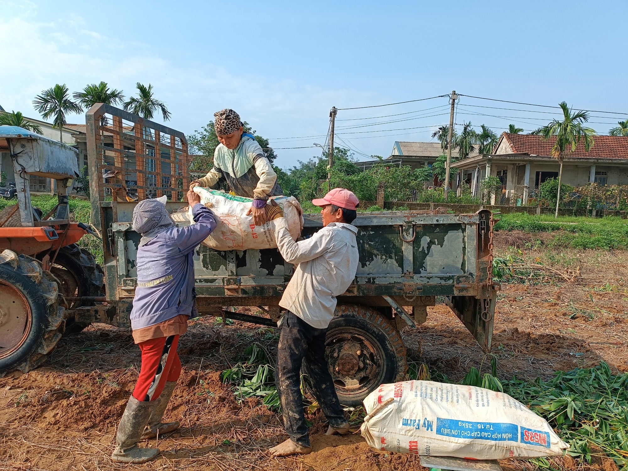 Người nông dân lao đao vì hàng trăm ha sắn có nguy cơ mất trắng sau mưa lũ - Ảnh 3.