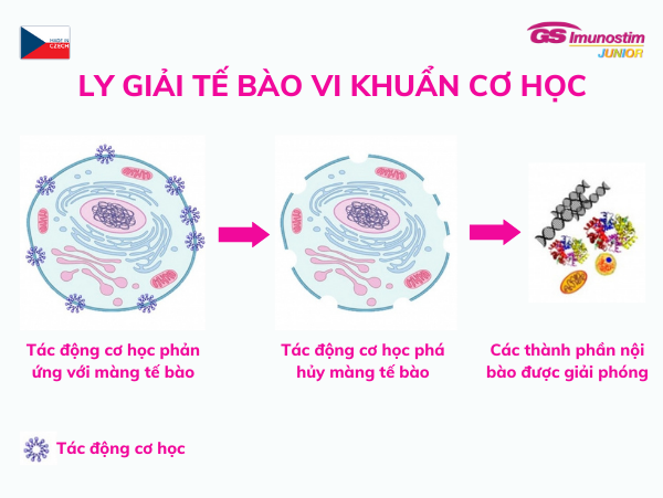 Bội nhiễm viêm phổi sau cúm ở trẻ, mẹ phải làm gì? - Ảnh 2.