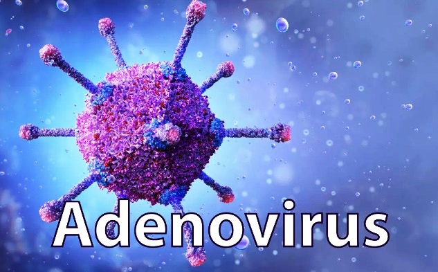 12 thắc mắc về trẻ nhiễm adenovirus bố mẹ phải biết - Ảnh 2.