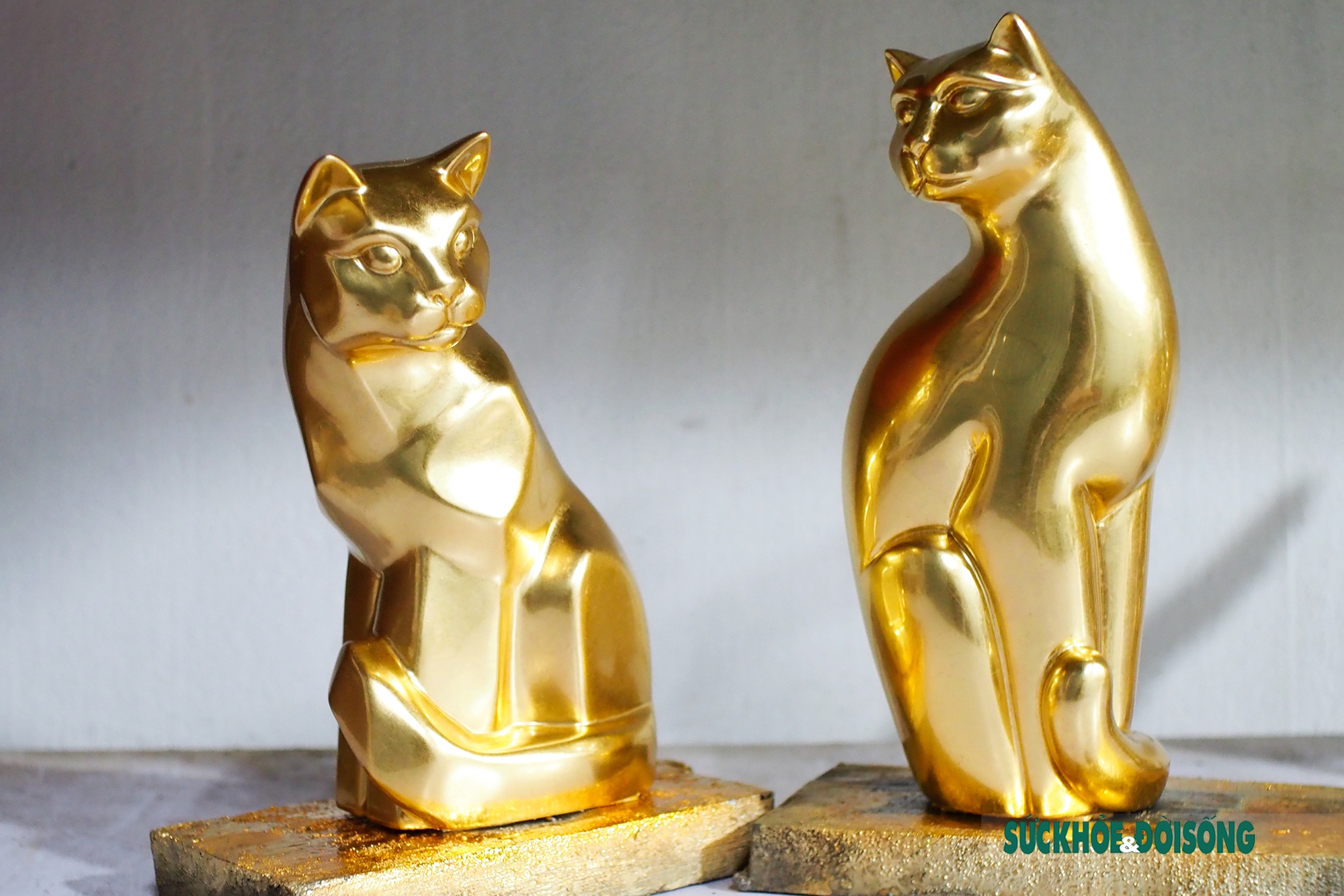Đón Tết Quý Mão 2024 trong niềm vui đầy màu sắc với hình ảnh Mèo mạ vàng trưng tụng trên những chậu cây xanh tươi. Hãy thưởng thức bức ảnh này và tận hưởng không khí Tết thật ấm áp!