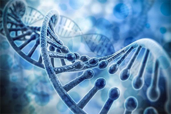 Ai là người đầu tiên tìm ra chuỗi ADN - vật liệu di truyền của tất cả sinh thể - Ảnh 6.