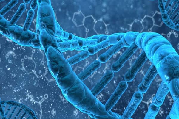 Ứng dụng của ADN trong cuộc sống thường ngày có thể nhiều người chưa biết - Ảnh 3.