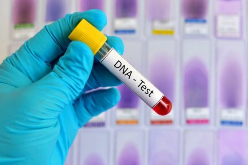 Ứng dụng của ADN trong cuộc sống thường ngày có thể nhiều người chưa biết - Ảnh 5.