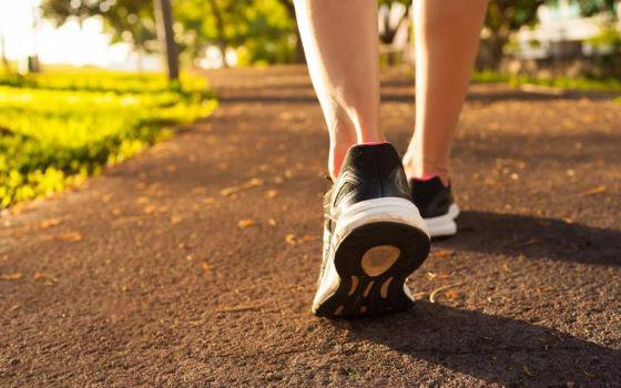 WHO khuyến cáo 12 cách giúp giảm nguy cơ sa sút trí tuệ, ai cũng nên biết - Ảnh 3.