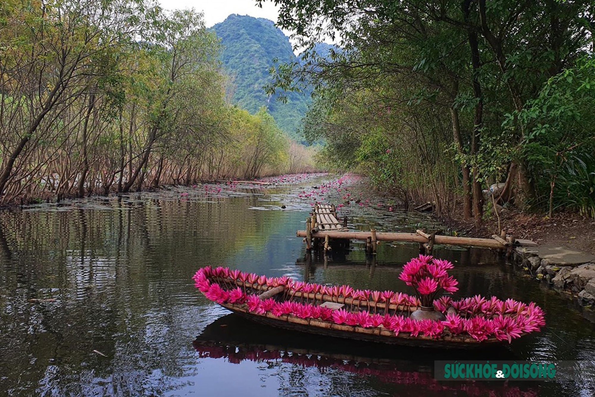 Nữ sinh “đọ sắc” cùng hoa súng trên dòng Yến Vĩ - Ảnh 2.