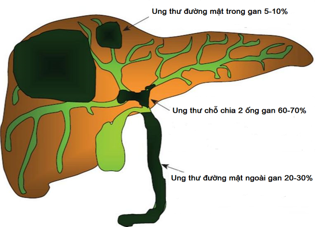 6. Những nghiên cứu và tiến bộ gần đây