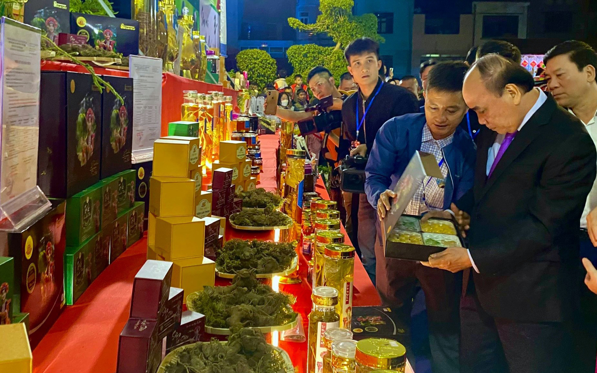 Vươn lên làm giàu từ sâm Lai Châu- Ảnh 4. Sâm Lai Châu, sâm Ngọc Linh khát vọng vươn xa