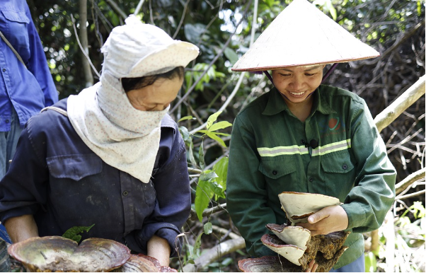 Sản phẩm mới dành cho phụ nữ mắc u xơ - u nang - Ảnh 2. Sản phẩm mới dành cho phụ nữ mắc u xơ - u nang - Ảnh 2.