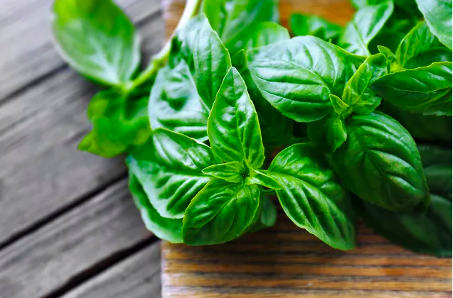 5 loại thảo mộc tăng cường sức khỏe bạn có thể trồng trong nhà bếp của mình - Ảnh 2.