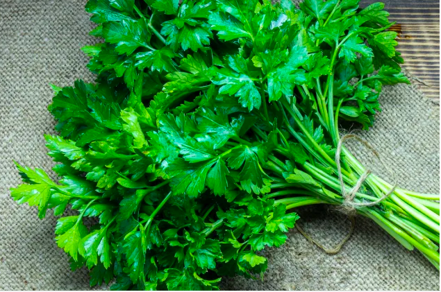 5 loại thảo mộc tăng cường sức khỏe bạn có thể trồng trong nhà bếp của mình - Ảnh 4.