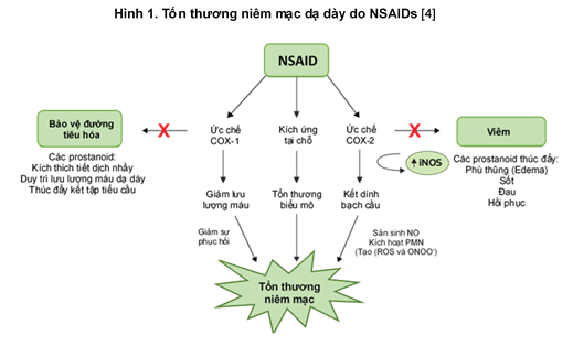 Lưu ý dùng thuốc PPI trị viêm loét dạ dày do thuốc giảm đau, chống viêm không steroid