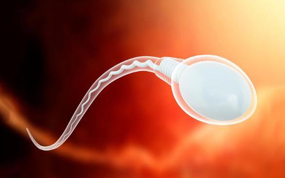 Nghiên cứu mới báo động về sự sụt giảm đáng kể số lượng tinh trùng ở nam giới trên toàn cầu