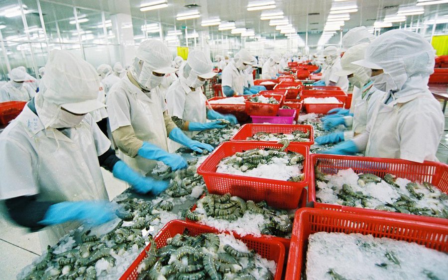 Việt Nam xuất khẩu nông sản vượt kỷ lục dù chưa hết năm 2022