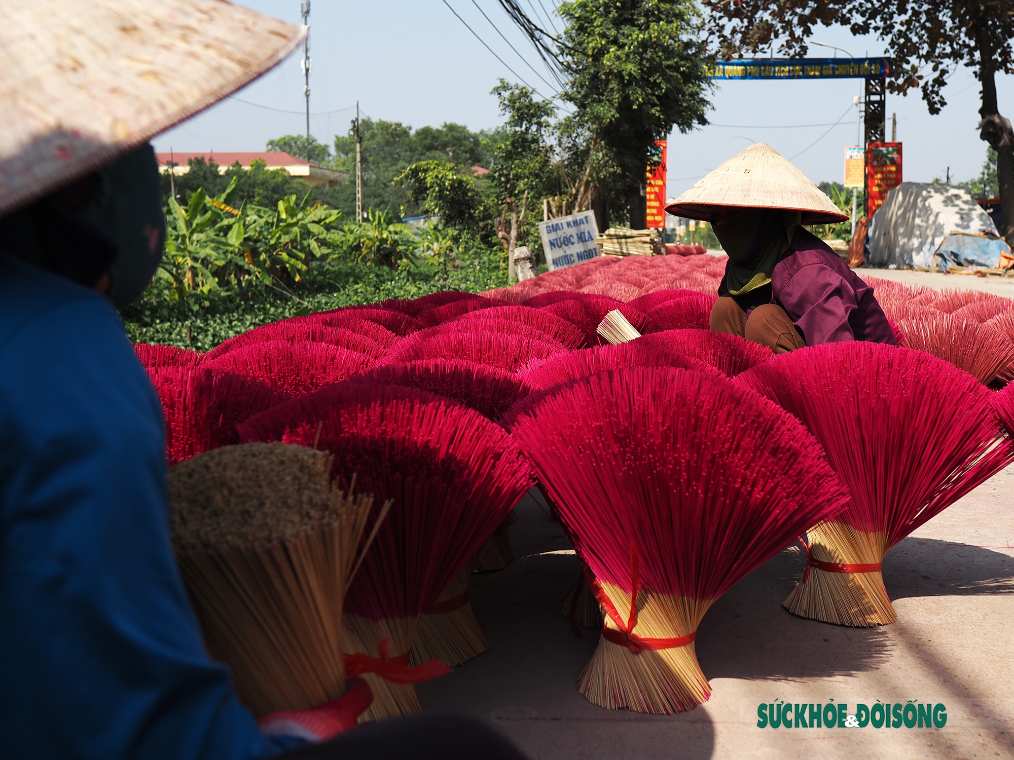 Những đóa tăm hương ở Quảng Phú Cầu &quot;bung nở&quot; đón Tết - Ảnh 2.