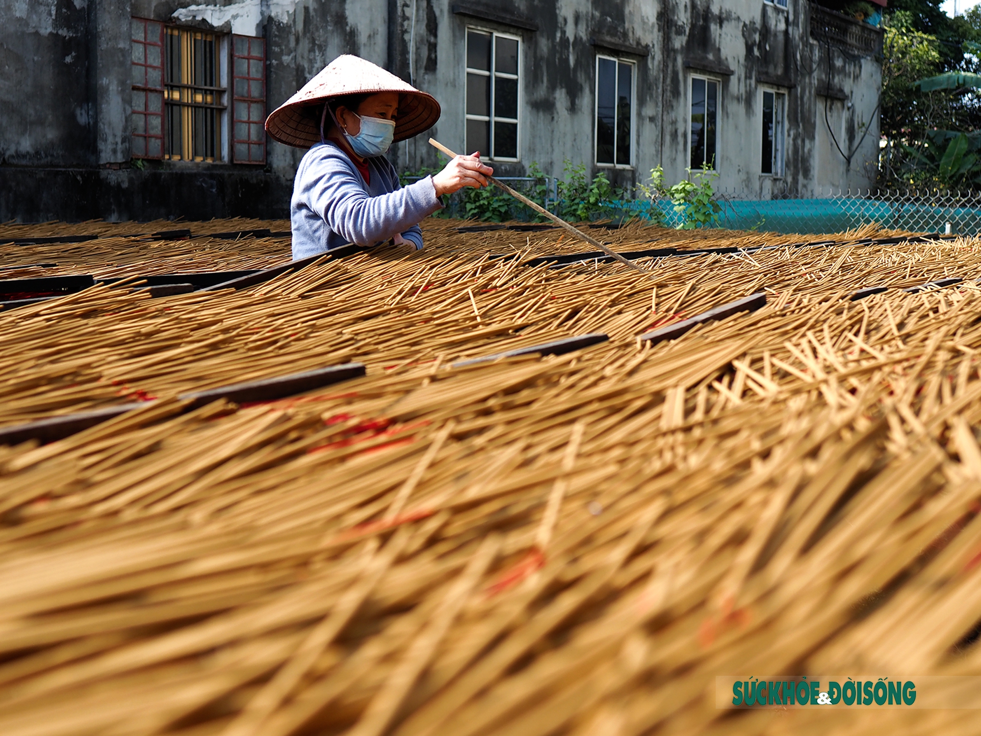 Những đóa tăm hương ở Quảng Phú Cầu &quot;bung nở&quot; đón Tết - Ảnh 12.