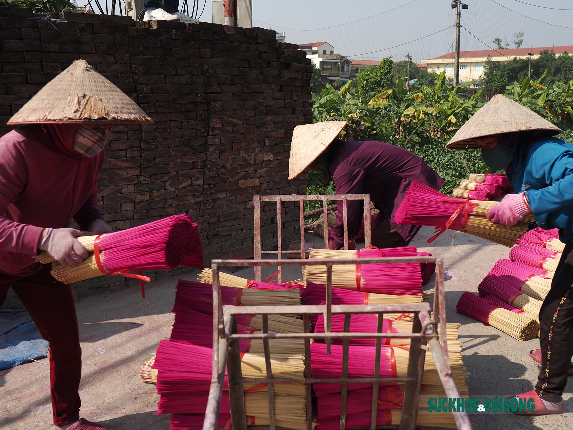 Những đóa tăm hương ở Quảng Phú Cầu &quot;bung nở&quot; đón Tết - Ảnh 6.