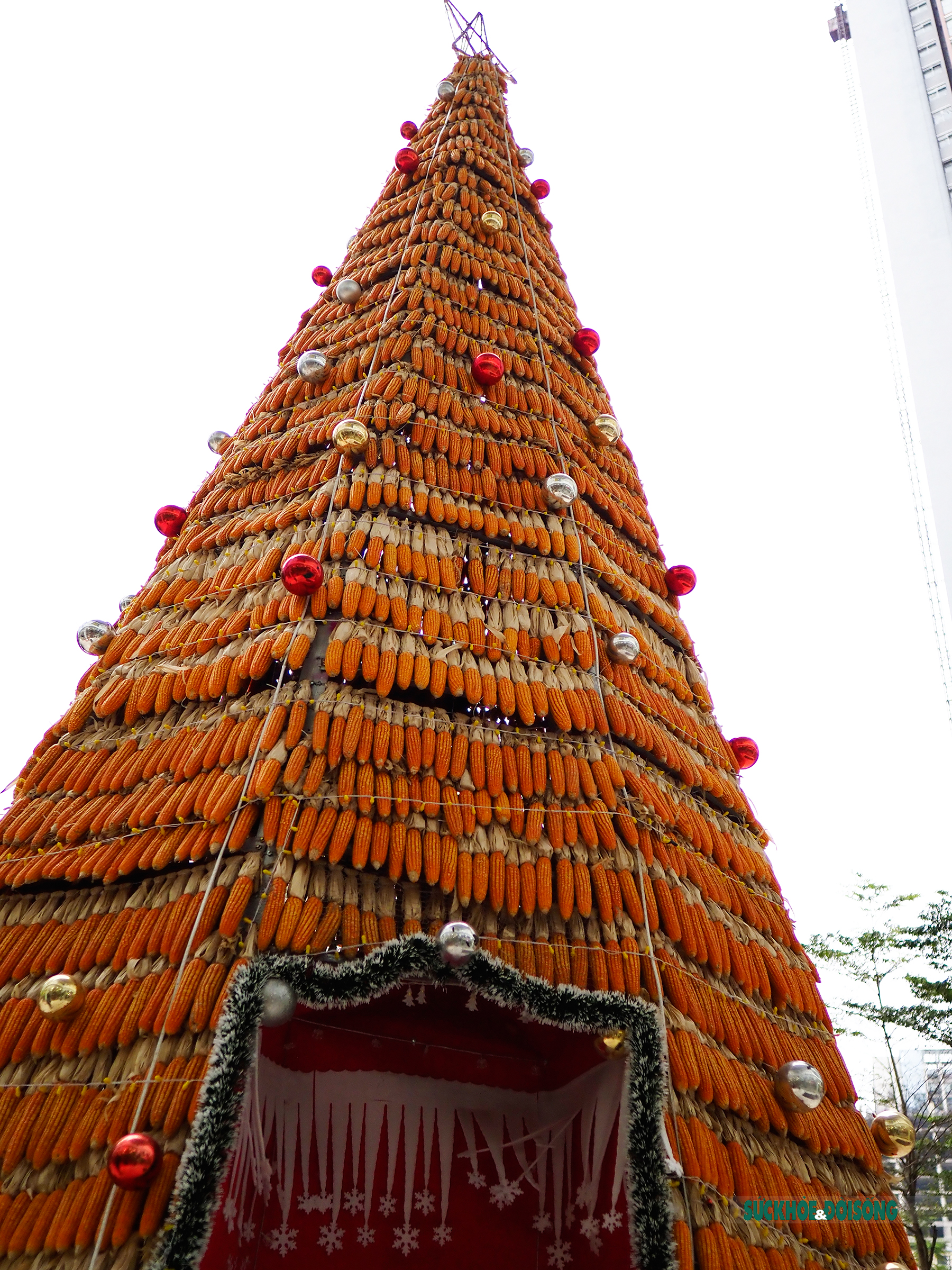 Người vùng cao thích thú check-in với cây thông Noel làm bằng ngô giữa Thủ đô - Ảnh 4.