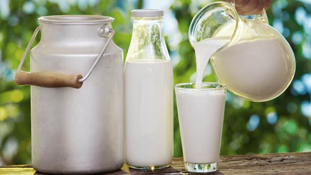 Một trong những loại sữa tốt nhất dành cho người bệnh máu nhiễm mỡ - Ảnh 4.