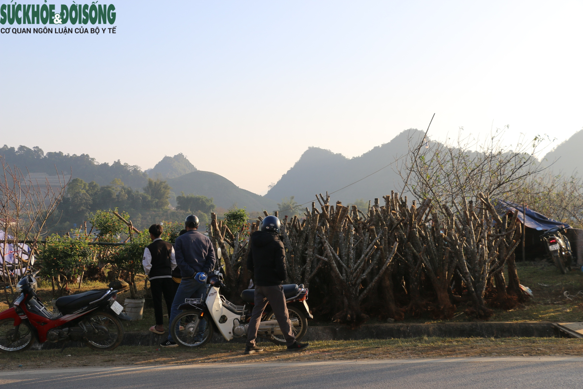 ‘Củi rừng nở hoa’, bà con mong cái Tết ấm no - Ảnh 13.