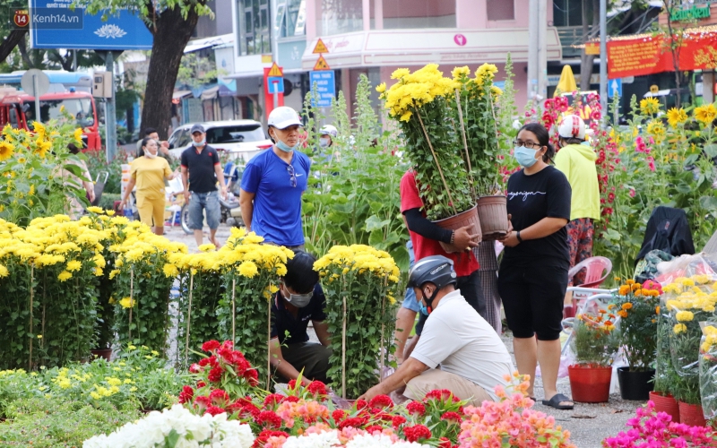 Vạch mặt những chiêu lừa bán cây cảnh giả dịp sát Tết