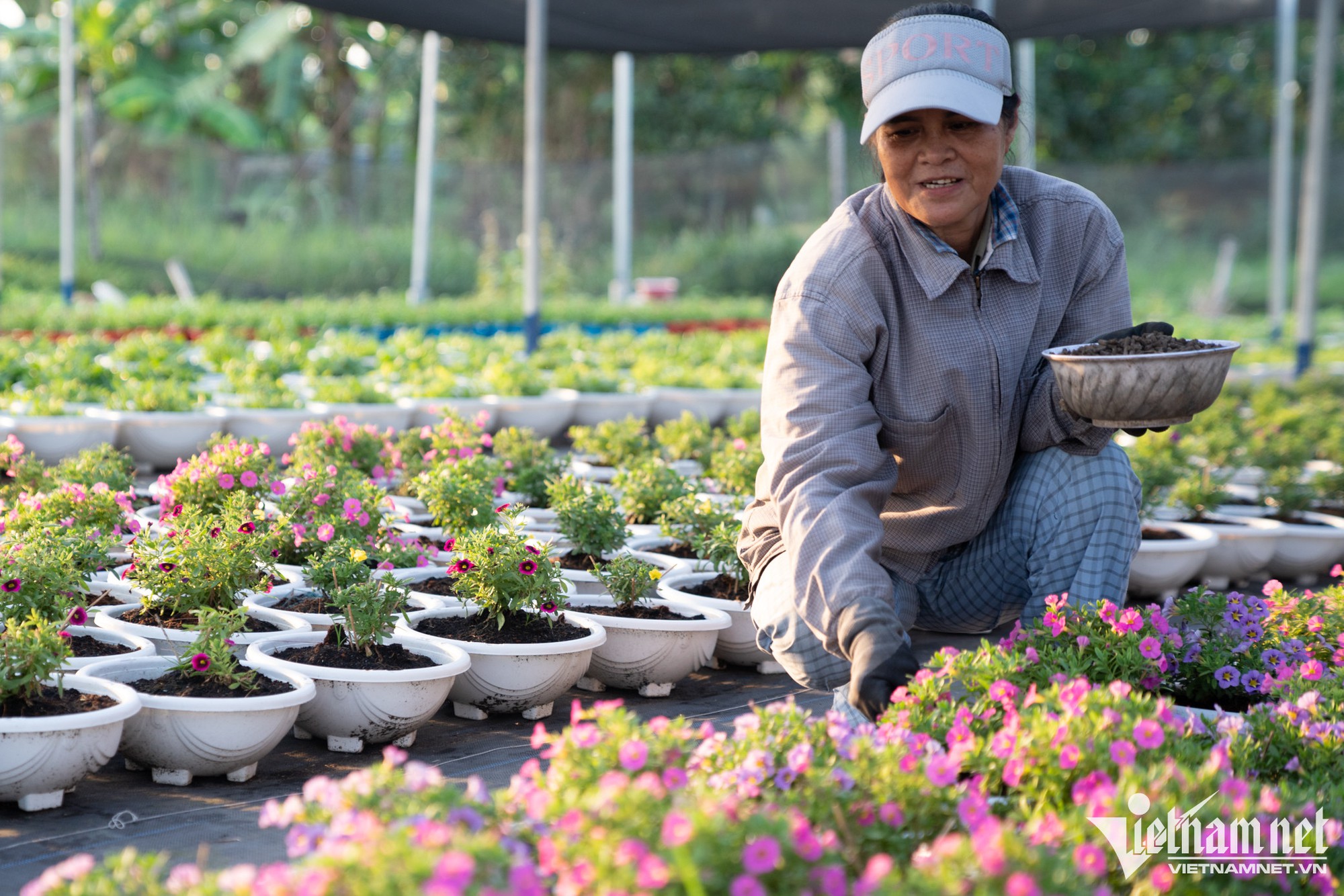 Hàng trăm nghìn gốc hoa ở TP.HCM sẵn sàng đón Tết - Ảnh 11.