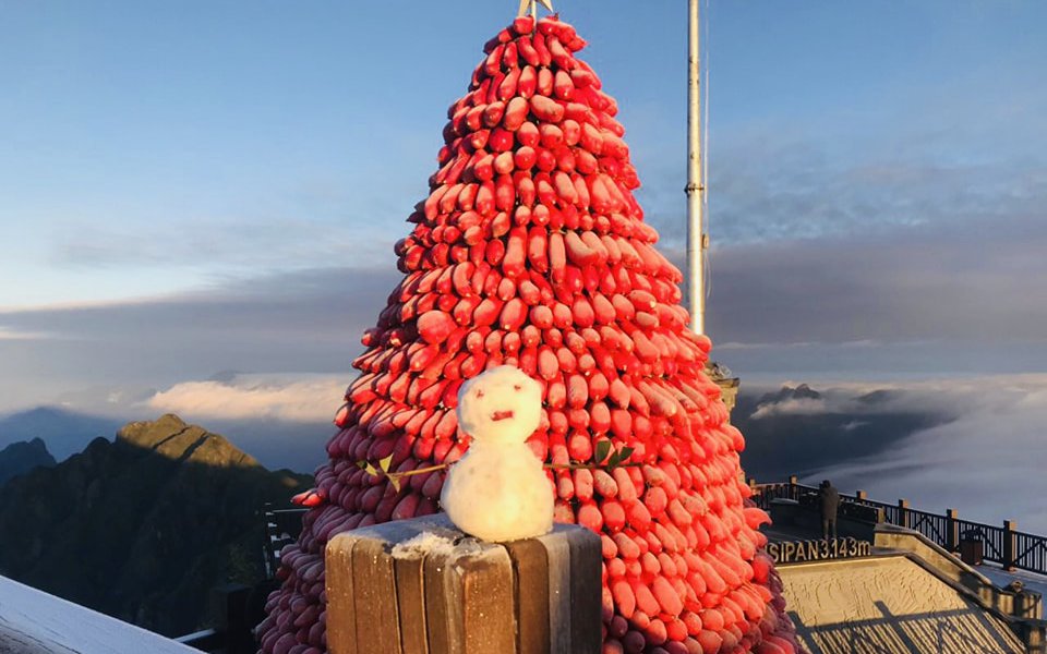 Đón Giáng sinh với những cây thông Noel 'độc, lạ' nhất Việt Nam