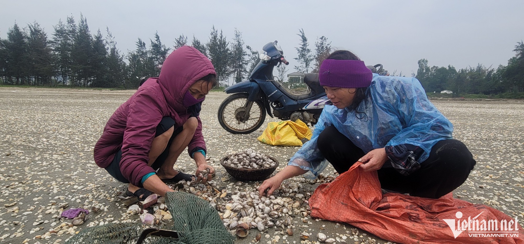 'Lộc trời' nổi lên khi biển động, cả làng hò nhau đi vớt - Ảnh 5.