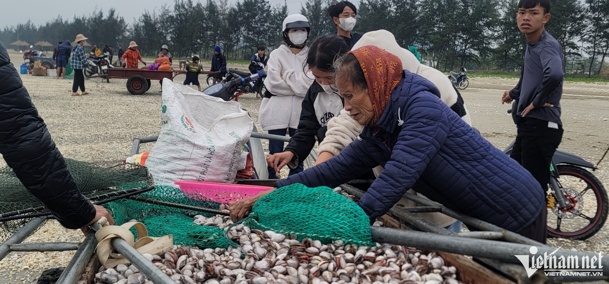 'Lộc trời' nổi lên khi biển động, cả làng hò nhau đi vớt - Ảnh 7.