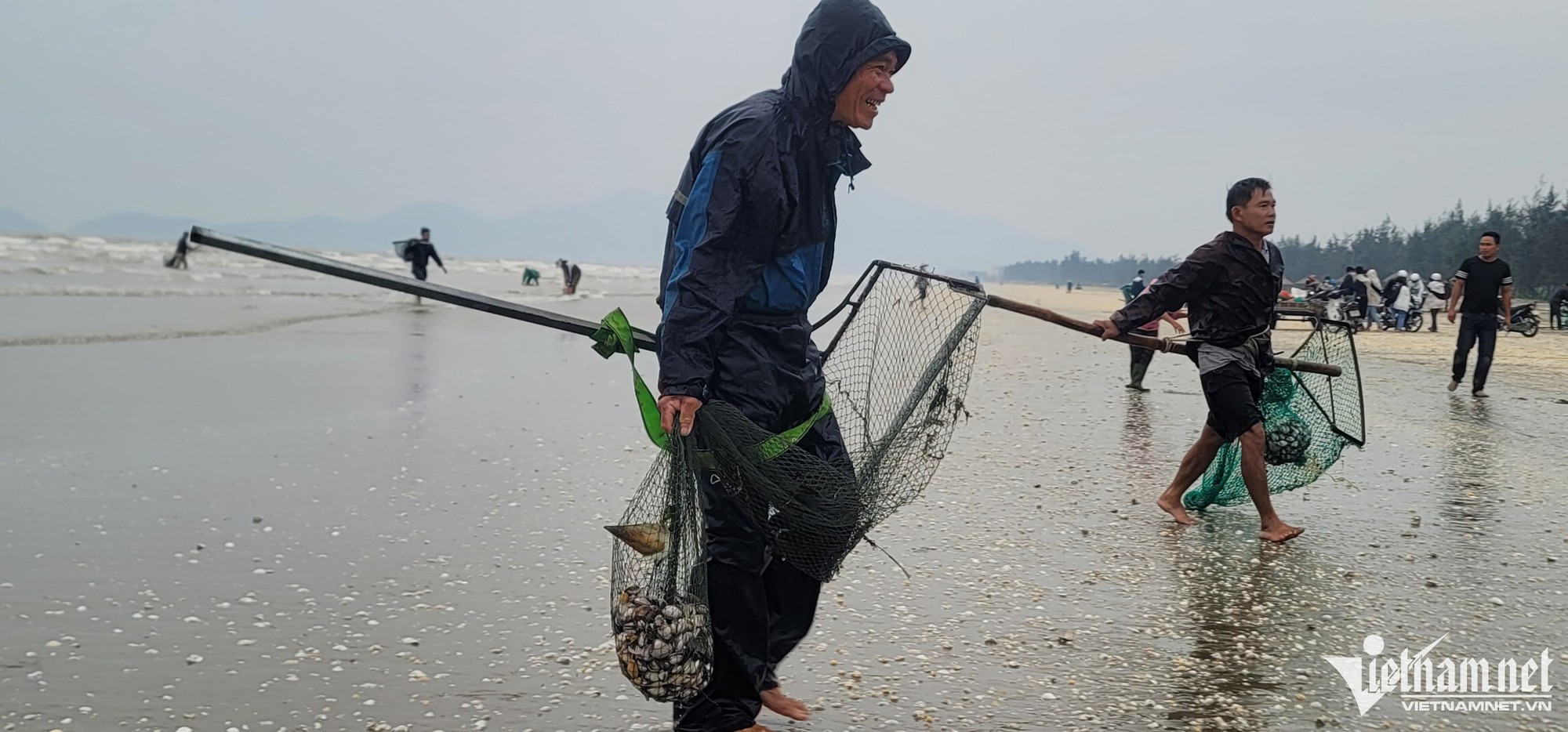 'Lộc trời' nổi lên khi biển động, cả làng hò nhau đi vớt - Ảnh 4.