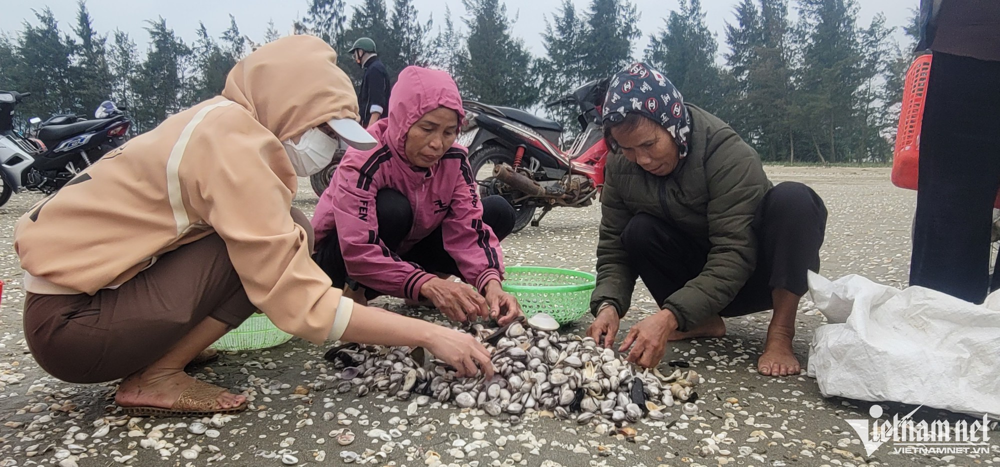 'Lộc trời' nổi lên khi biển động, cả làng hò nhau đi vớt - Ảnh 2.