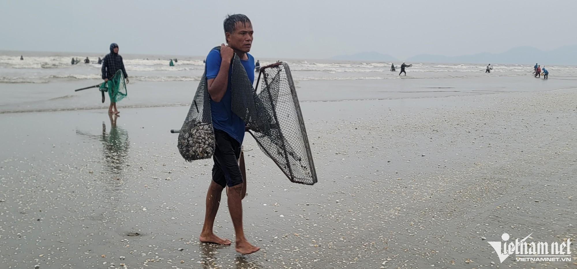 'Lộc trời' nổi lên khi biển động, cả làng hò nhau đi vớt - Ảnh 3.